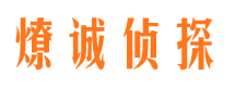 肥城市私家调查